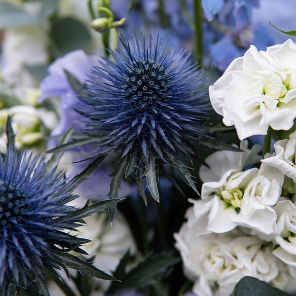 bouquet destructure violet