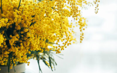 Une bonne année démarre toujours avec un bouquet