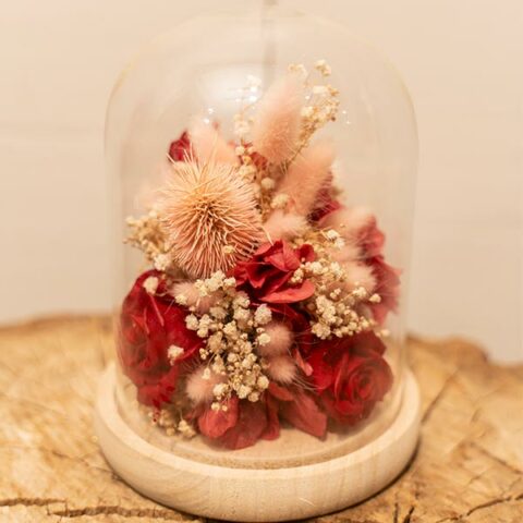 Cloche de fleurs séchées rouge