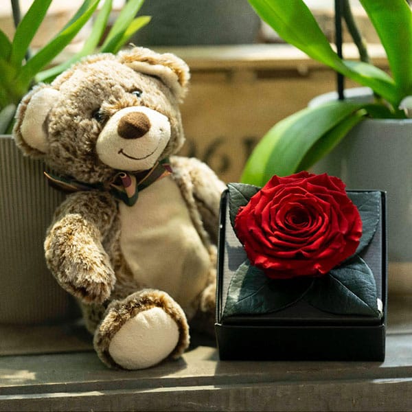 Coffret contenant un ours en peluche et une rose rouge éternelle