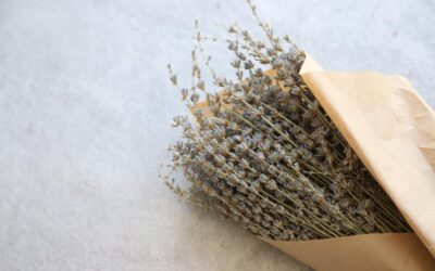 Fleurs séchées : pourquoi on les aime tant